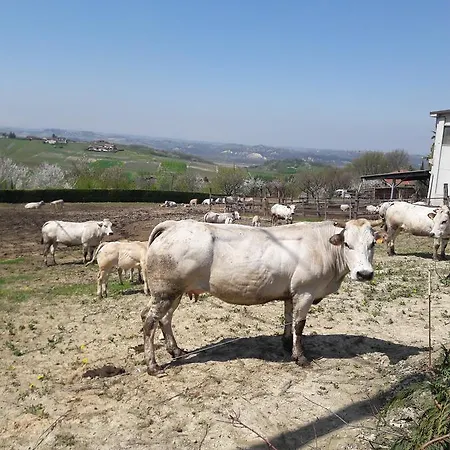 Agriturismo Antichi Sapori * Isola d'Asti
